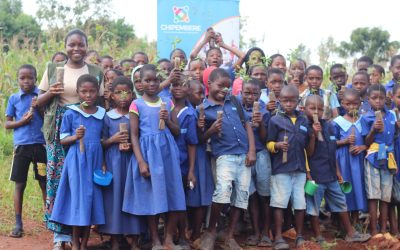 Ecosystem Restoration